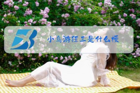 小鸟游狂三是什么梗