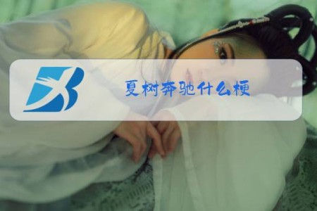 夏树奔驰什么梗