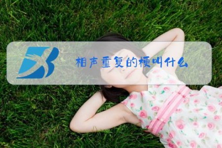 相声重复的梗叫什么