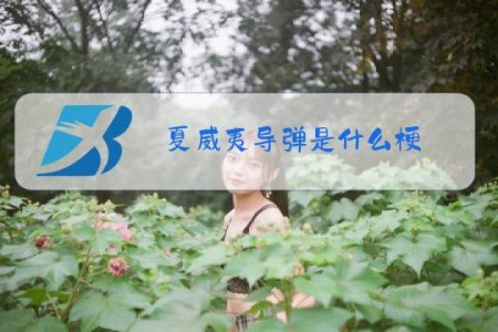 夏威夷导弹是什么梗