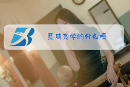 夏威夷学的什么梗