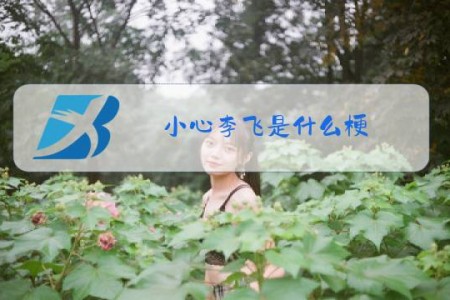 小心李飞是什么梗?