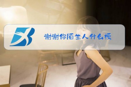 谢谢你陌生人什么梗