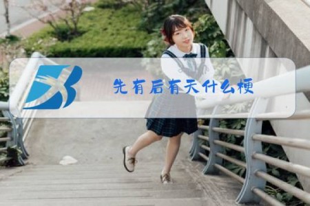 先有后有天什么梗
