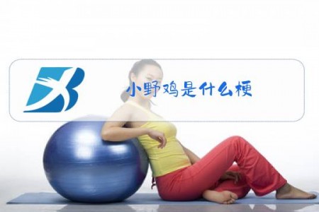 小野鸡是什么梗