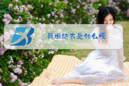 新垣结衣是什么梗