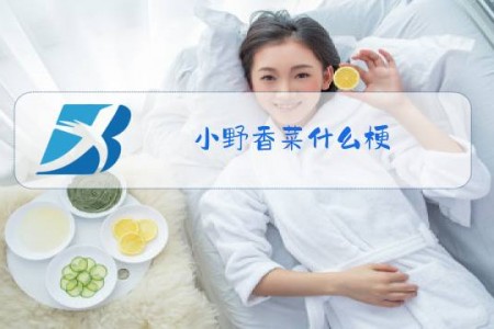 小野香菜什么梗