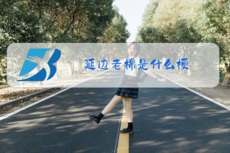 延边老棉是什么梗