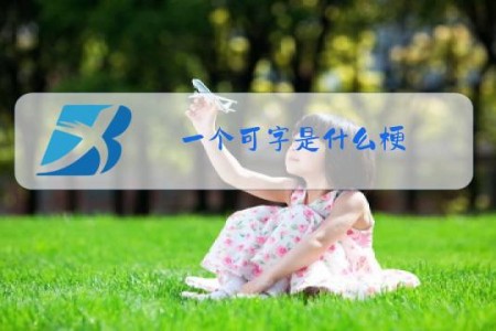 一个可字是什么梗