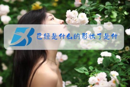 已经是什么的形状了是什么梗