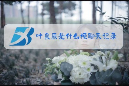 叶良辰是什么梗聊天记录