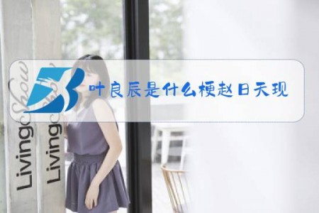 叶良辰是什么梗赵日天现在怎么样了