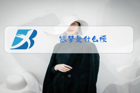 银梦是什么梗