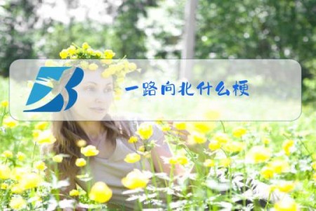 一路向北什么梗