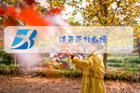 洋菩萨什么梗
