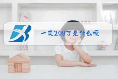 一爽208万是什么梗