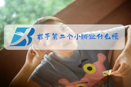 右手第二个小脚趾什么梗