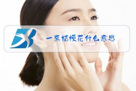 一束桔梗花什么意思