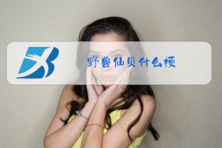 野兽仙贝什么梗