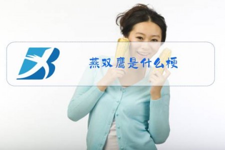 燕双鹰是什么梗