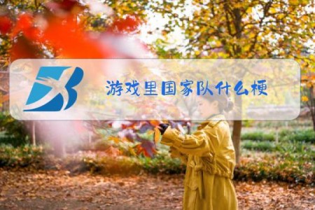 游戏里国家队什么梗