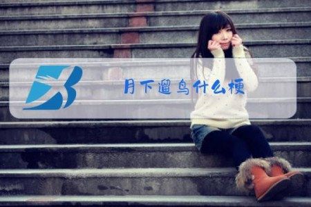 月下遛鸟什么梗
