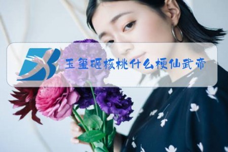 玉玺砸核桃什么梗仙武帝尊