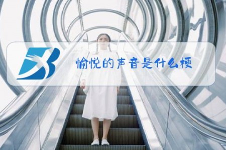 愉悦的声音是什么梗