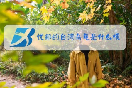 忧郁的台湾乌龟是什么梗