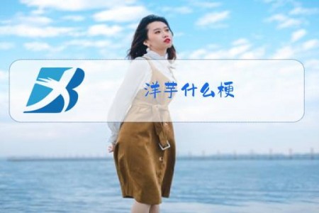 洋芋什么梗