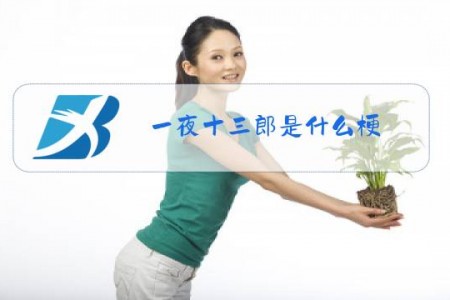一夜十三郎是什么梗