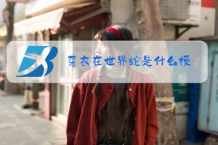 芽衣在世界蛇是什么梗
