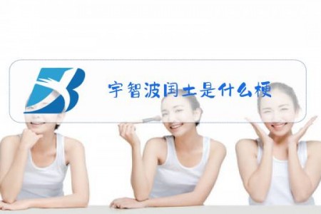 宇智波闰土是什么梗
