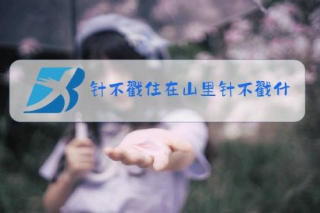 针不戳住在山里针不戳什么梗