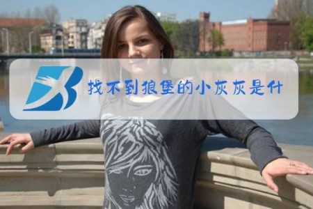 找不到狼堡的小灰灰是什么梗