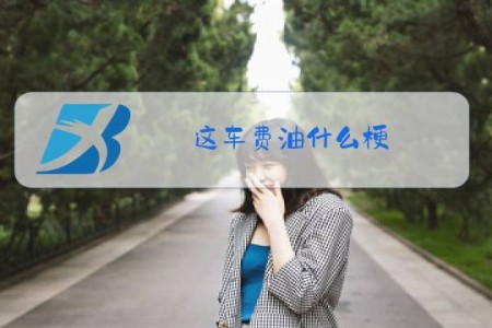 这车费油什么梗