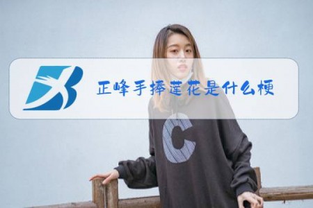 正峰手捧莲花是什么梗
