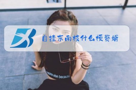 自挂东南枝什么梗赘婿