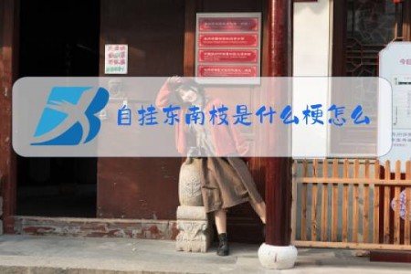 自挂东南枝是什么梗怎么接