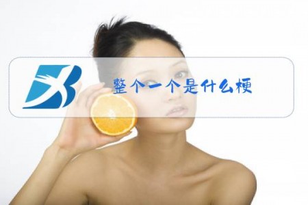 整个一个是什么梗