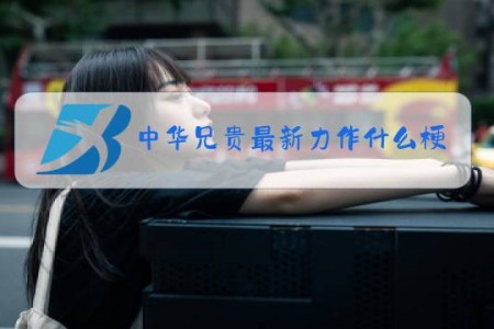 中华兄贵最新力作什么梗