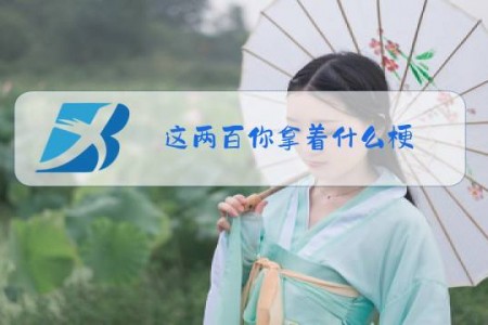 这两百你拿着什么梗