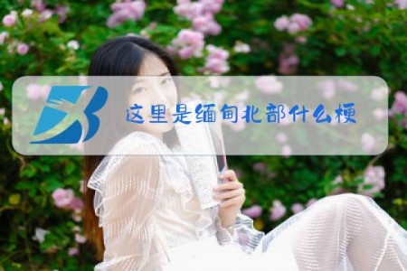 这里是缅甸北部什么梗