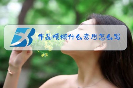 作品梗概什么意思怎么写