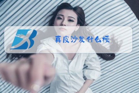 真皮沙发什么梗