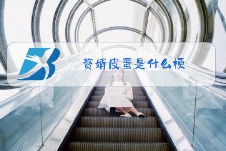 赘婿皮蛋是什么梗