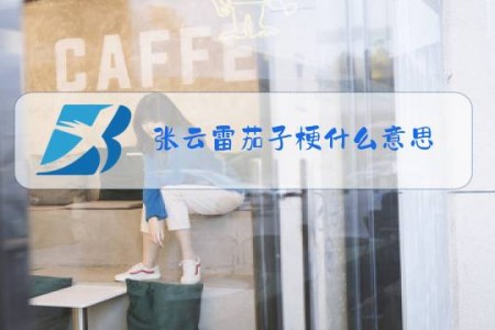 张云雷茄子梗什么意思