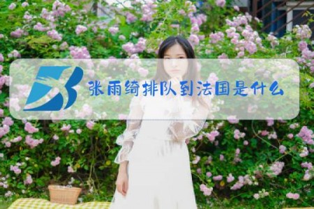张雨绮排队到法国是什么梗