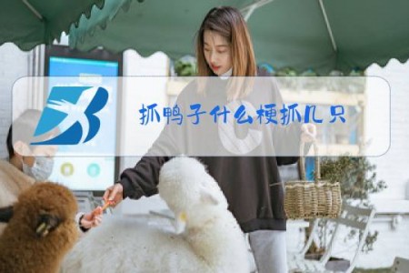 抓鸭子什么梗抓几只