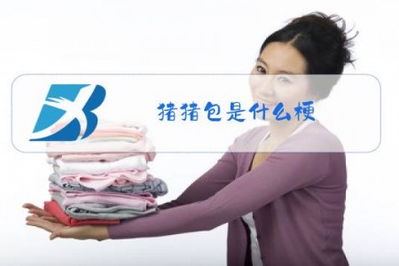 猪猪包是什么梗